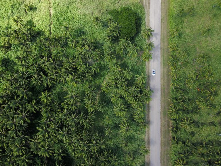 Fotografía Política Medioambiental