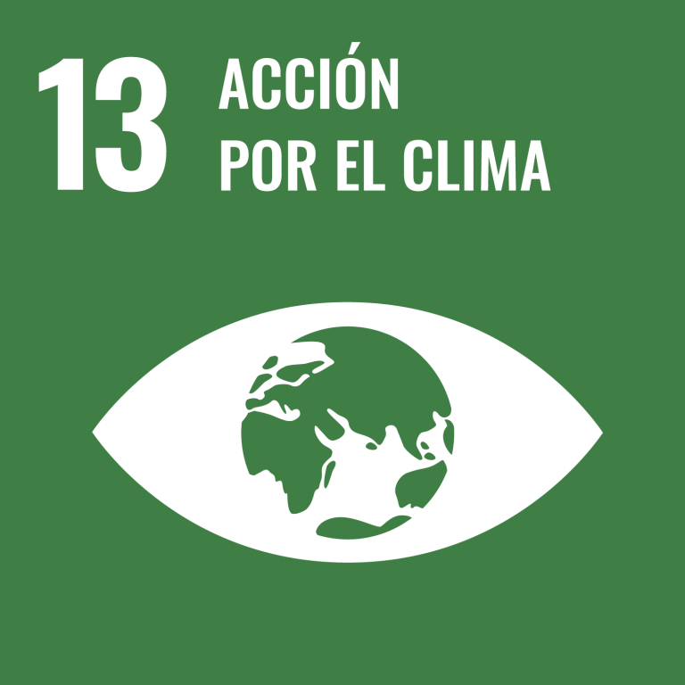 Icono ODS 13 - acción por el clima