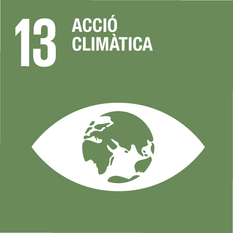 Icona ODS 13- Acció climàtica 
